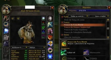 WOW Classic TBC Druid 70 / Hunter 70