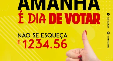 Pack Politica Eleições 2024