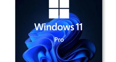Windows 11 Pro