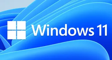 Windows 11 Pro