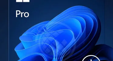 Windows 11 Pro