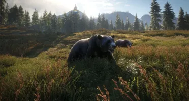 Xbox theHunter: Call of the Wild (Xbox One) #C73481