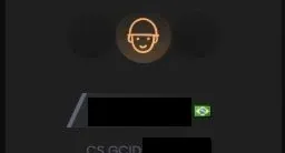 Conta Cs2 Faceit Lvl 10/ Gamersclub Lvl 20