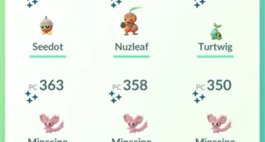CONTA PKGO LVL 30