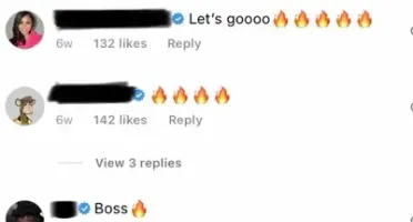 Comentário com Perfil Verificado no Instagram