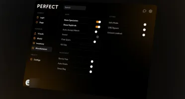 cheat cs2 legit completo perfectcs2