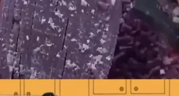 + De 350 🎬Cortes De Family Guy E +900 Vídeos Satisfatórios