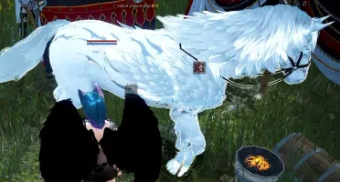 Valquiria 603 GS com titulo raro, muitos trajes e pets