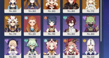 Ganyu+Kazuha+Shogun+Ayaka+Klee+Itto+ArmasT5