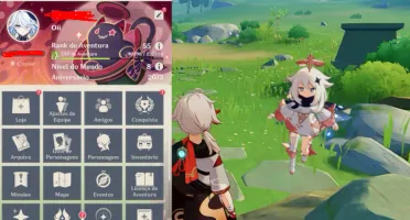 AR55 Lyney + Bis, Furina, Kazuha, Neuvillette Server America