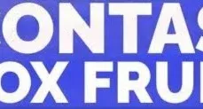 Conta Blox fruit muito upada(promoção relâmpago)