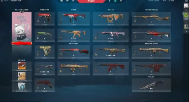 Conta Valorant LVL 53, facas, passes e skins