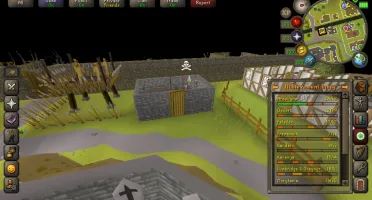 OSRS MAXED ACC