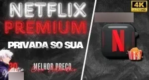 NETFLIX PREMIUM 4K 30 DIAS - TELA PRIVADA + ENTREGA IMEDIATA