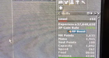 Master Sorcerer 195 e Royal Paladin 156 e EK 90 Mundo Pacera