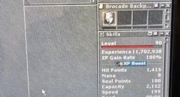 Master Sorcerer 195 e Royal Paladin 156 e EK 90 Mundo Pacera