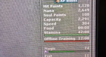 Master Sorcerer 195 e Royal Paladin 156 e EK 90 Mundo Pacera