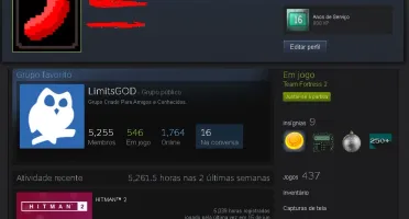 Conta Steam Super rara 16 Anos 789 jogos