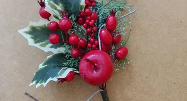 Pick Frutas vermelhas com Maçã (30cm)