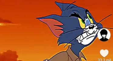 Conta TikTok