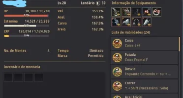 Conta BDO SA -Striker 684GS