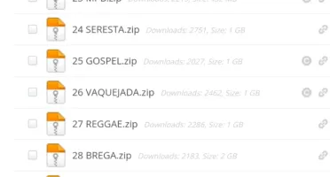 Musicas Atualizadas 2025