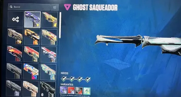 Conta Valorant muitas skins