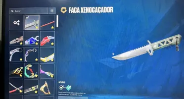 Conta Valorant muitas skins