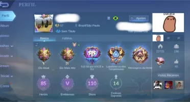 Mobile legends