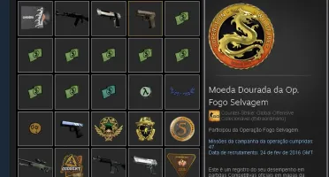 Conta Cs:Go 3k de hrs+