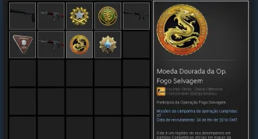 Conta Cs:Go 3k de hrs+
