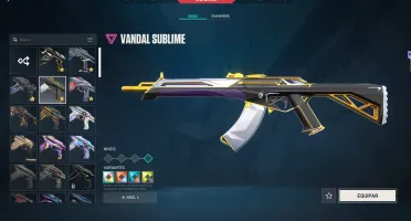 Conta Valorant Antinga Com Muitas Skins (Inclusive Raras)