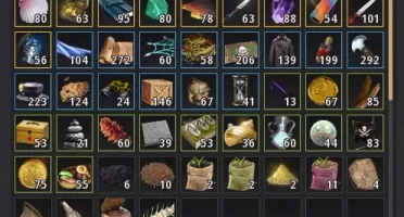CONTA BDO 305 AP BUSSOLA + POTION DE HP