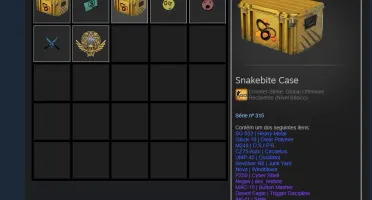 CONTA AK CRUZADA CSGO (PODE ADICIONAR AMIGOS) 2 ANOS SERVIÇO