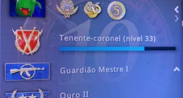conta cs go + 17 anos steam + 5 medalhas