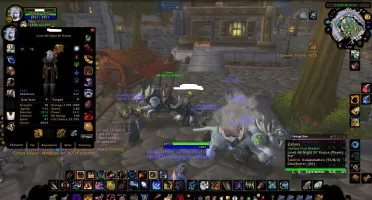 Conta WoW Classic Lich King Hunter/Warrior 80 Pagle Ally