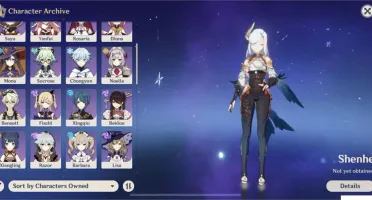 NA AR 46 3x5 com Itto e Mona e a lança do Xiao