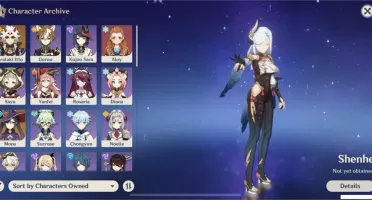 NA AR 46 3x5 com Itto e Mona e a lança do Xiao