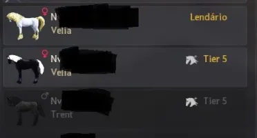 Conta Black Desert GameZ c/ Email Full 691 GS Black Star
