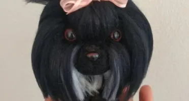 Mini Lhasa Apso - Amigurumi de crochê