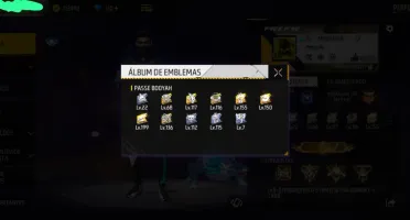 Conta Gemada Com 17K De Dima Mensal