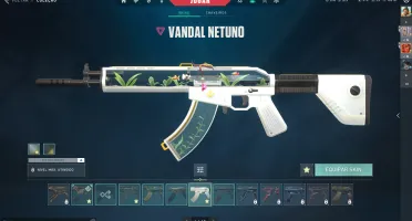 Conta com muitas skins, Karambit Saqueadora e etc...
