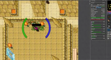 Tibia Royal Paladin level 313, + EK 154, + ED 100