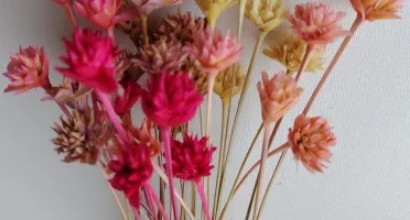 Flores Secas: Espeta Nariz com 36 unidades