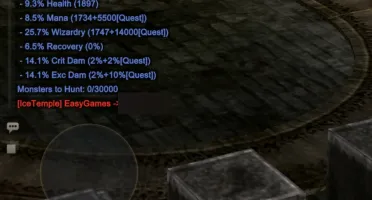 Rune Wizard lvl 1100 200rr com hunt