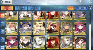 Fate Grand Order [jp] 12 SSR/NP3+