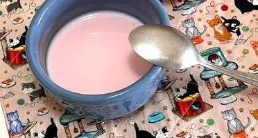 Lugar Americano Infantil com Bolso - Gatinhos