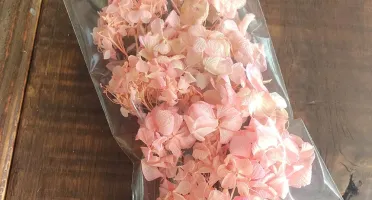 Mix Hortensias desidratadas no pacotinho