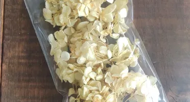 Mix Hortensias desidratadas no pacotinho