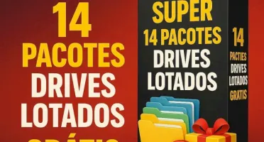 Super Pack Com 14 Drives Lotados De Ferramentas, Cursos Etc
